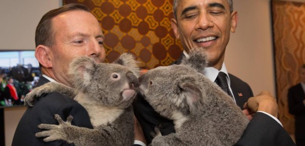 BRISBANE, AUSTRALIA - NOVEMBER 15:  In this handout photo provided by the G20 Australia, Australia's Prime Minister Tony Abbott and United States' President Barack Obama meet Jimbelung the koala before the start of the first G20 meeting on November 15, 2014 in Brisbane, Australia. World leaders have gathered in Brisbane for the annual G20 Summit and are expected to discuss economic growth, free trade and climate change as well as pressing issues including the situation in Ukraine and the Ebola crisis.  (Photo by Andrew Taylor/G20 Australia via Getty Images)