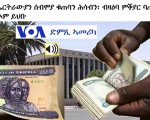 VOA-Tigrigna-Eritrea-Nakfa-Money-Currency-Exchange-Debate-with-Two-Eritreans2