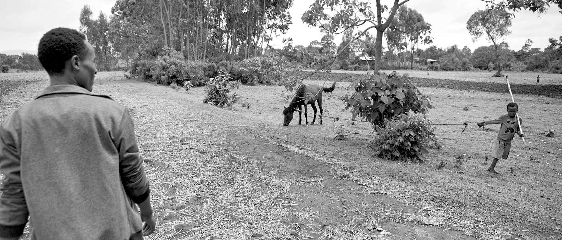 Abraham Hasiso, from Shalala village near Hosana town in SNNPR Region in Ethiopia, walks to his home. Abraham has tried to flee Ethiopia illegally to South Africa for promise of better work and more money. His brother still remains in prison for the same crime in Marsabit, Kenya.